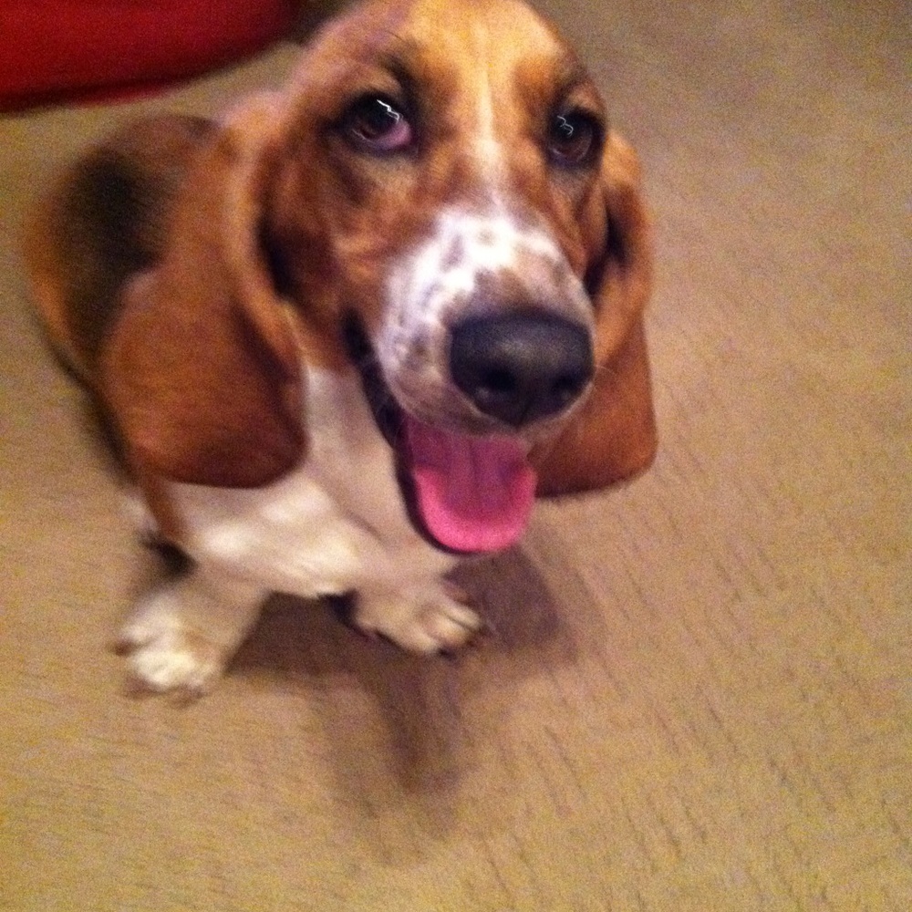 Meet your Posher, Regina